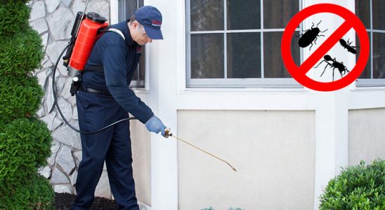 Serdivan Hamam Böceği İlaçlama böcek ilaçlama ve haşere kontrolü — ilaclama-tr.com